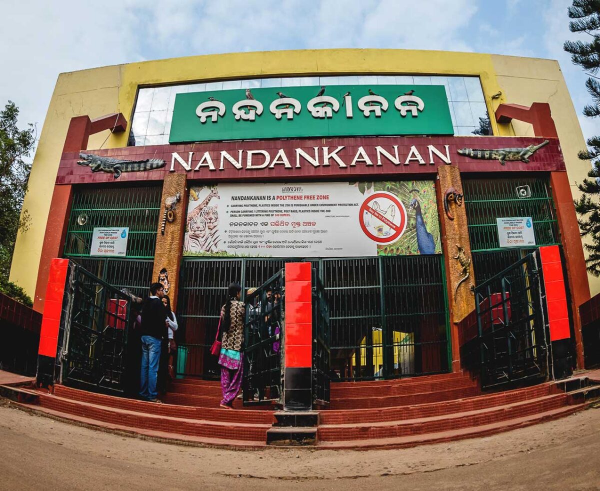 Nandankanan Zoological Park Tour Package